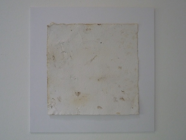P1020163 (2) -700